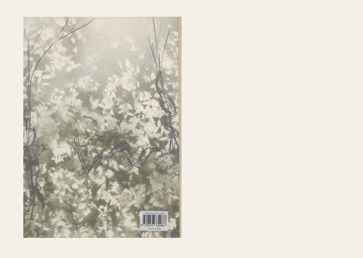 River of Forms : Giuseppe Penone's Drawings