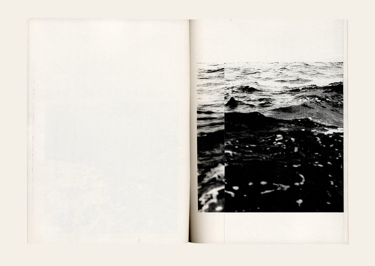 Oak lane - Simryn Gill