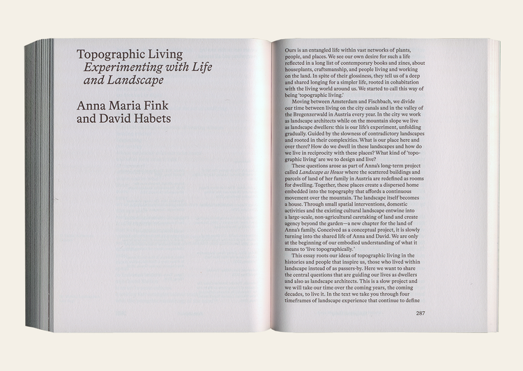 Slow Spatial Reader: Chronicles Of Radical Affection - Carolyn F. Strauss Ed