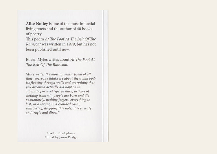 At the Foot At the Belt of the Raincoat - Alice Notley