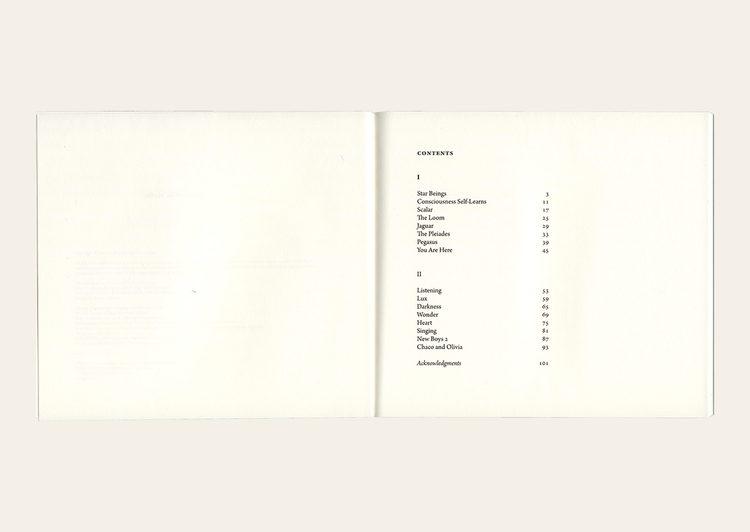 A Treatise on Stars - Mei-mei Berssenbrugge