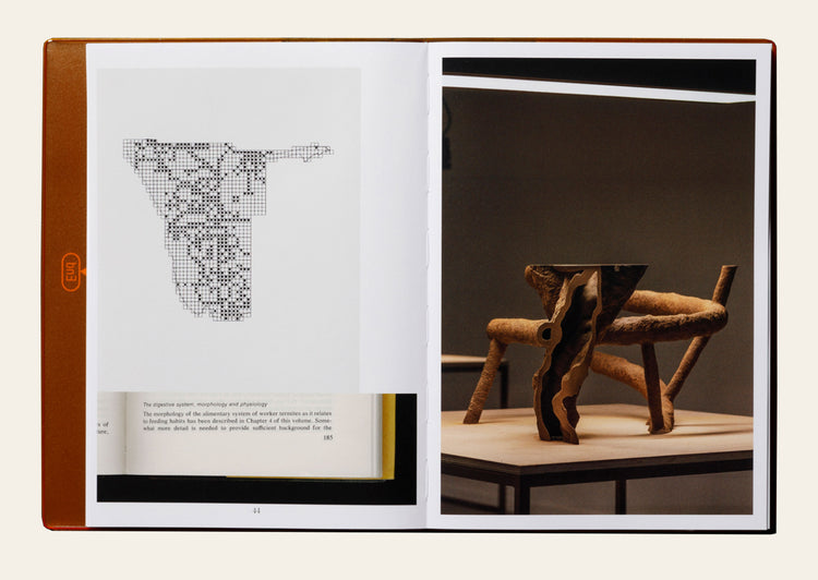 Termite Economies - Nicholas Mangan