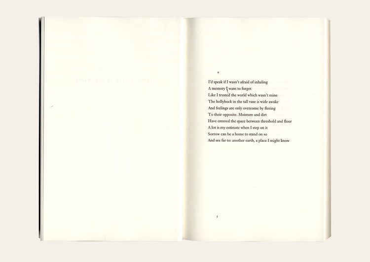 Selected Poems of Fanny Howe - Fanny Howe
