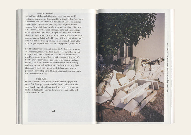 Marble in Metamorphosis - Rachel Cusk