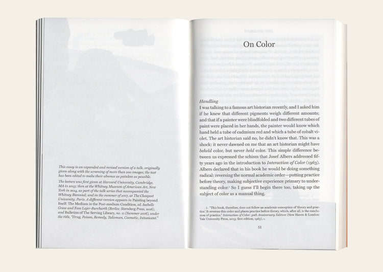 Faux Pas. Selected Writings and Drawings (Expanded Edition) - Amy Sillman