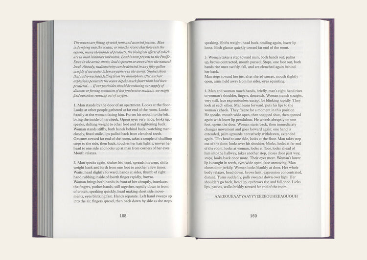 I See / You Mean - Lucy Lippard