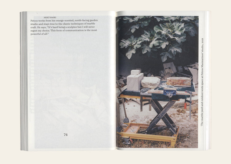 Marble in Metamorphosis - Rachel Cusk