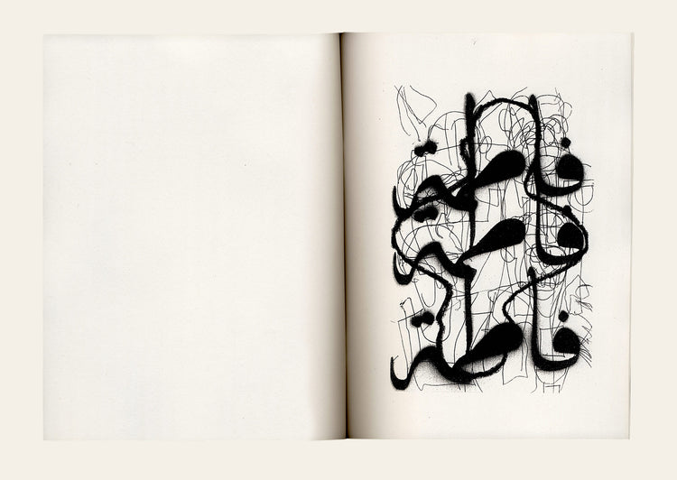 Pity the nation - Khaled Sabsabi