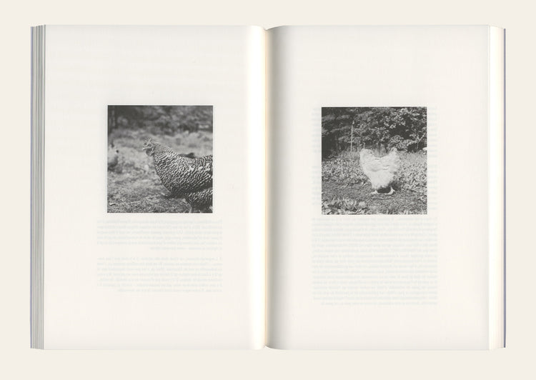 I Confess - Moyra Davey