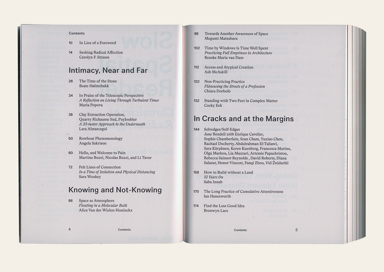 Slow Spatial Reader: Chronicles Of Radical Affection - Carolyn F. Strauss Ed