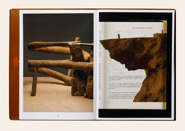 Termite Economies - Nicholas Mangan