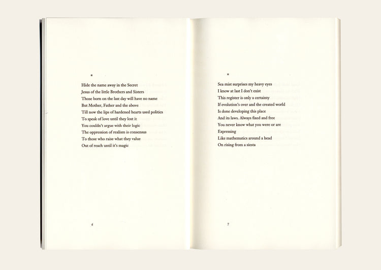 Selected Poems of Fanny Howe - Fanny Howe
