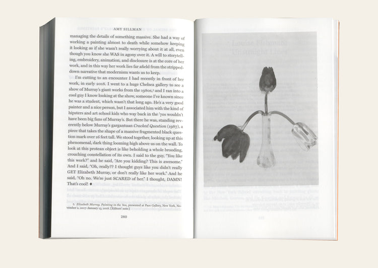 Faux Pas. Selected Writings and Drawings (Expanded Edition) - Amy Sillman