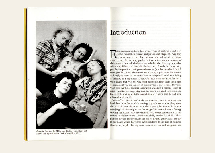 The Debutante and Other Stories - Leonora Carrington