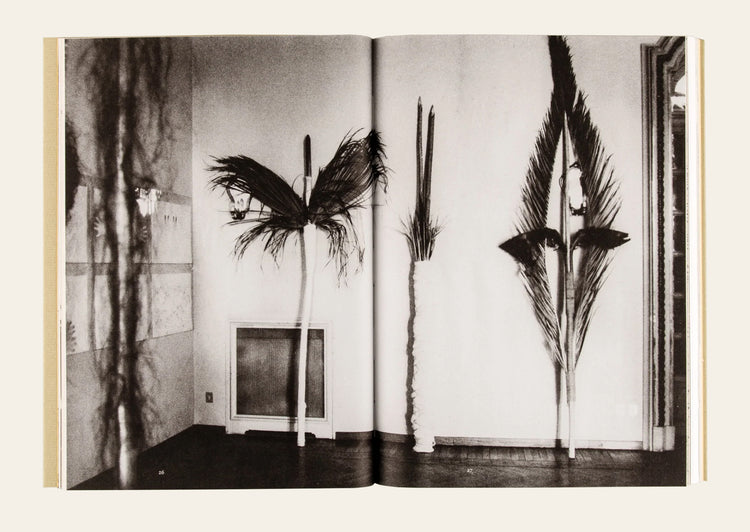 Hannah Villiger: Roma and Afterwards