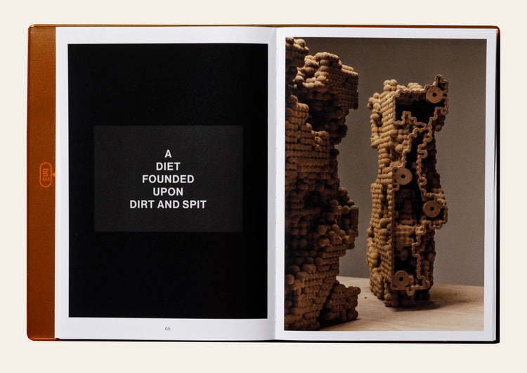 Termite Economies - Nicholas Mangan