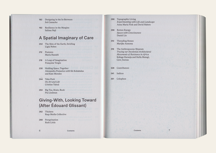 Slow Spatial Reader: Chronicles Of Radical Affection - Carolyn F. Strauss Ed