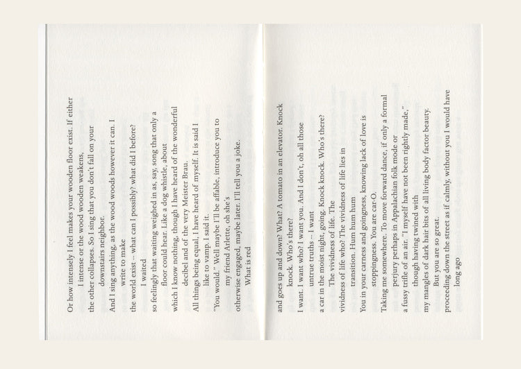 At the Foot At the Belt of the Raincoat - Alice Notley