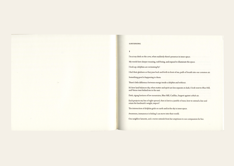 A Treatise on Stars - Mei-mei Berssenbrugge