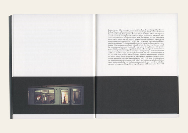 Gold Custody - Barbara Bloom & Ben Lerner