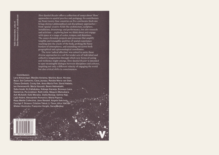 Slow Spatial Reader: Chronicles Of Radical Affection - Carolyn F. Strauss Ed