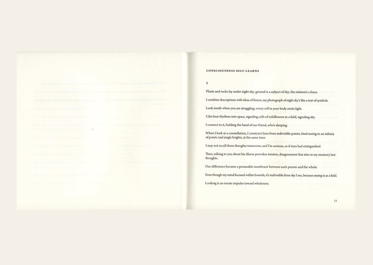 A Treatise on Stars - Mei-mei Berssenbrugge