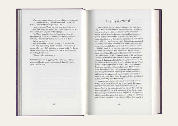 I See / You Mean - Lucy Lippard