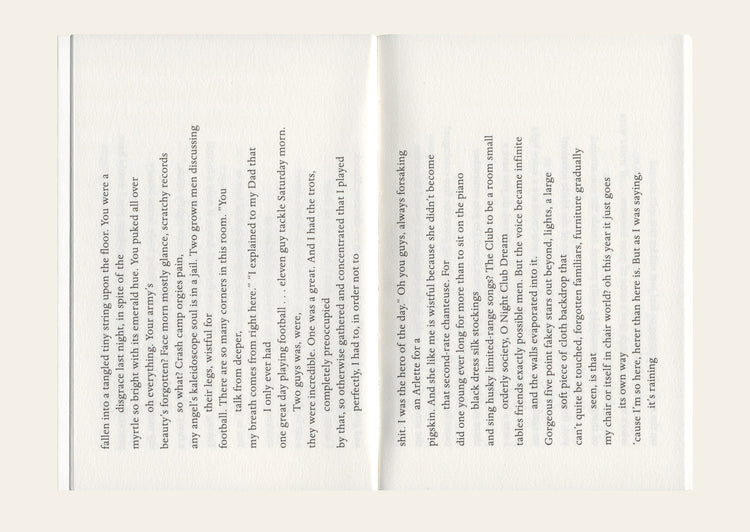 At the Foot At the Belt of the Raincoat - Alice Notley