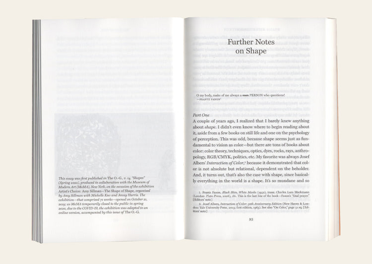 Faux Pas. Selected Writings and Drawings (Expanded Edition) - Amy Sillman