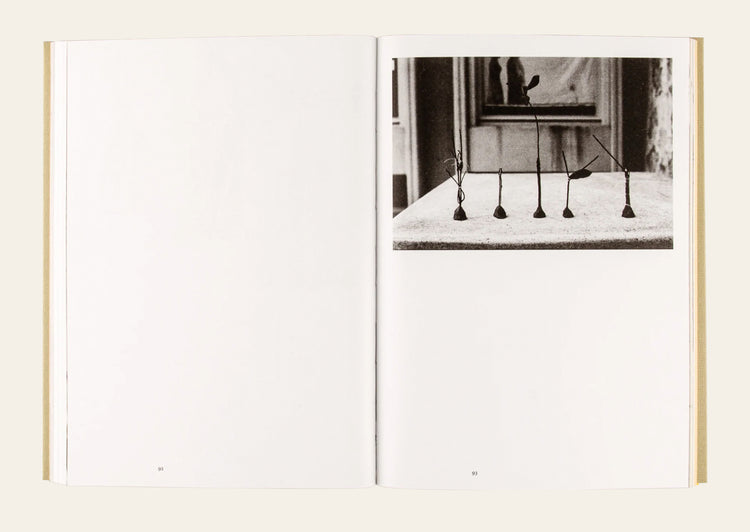 Hannah Villiger: Roma and Afterwards