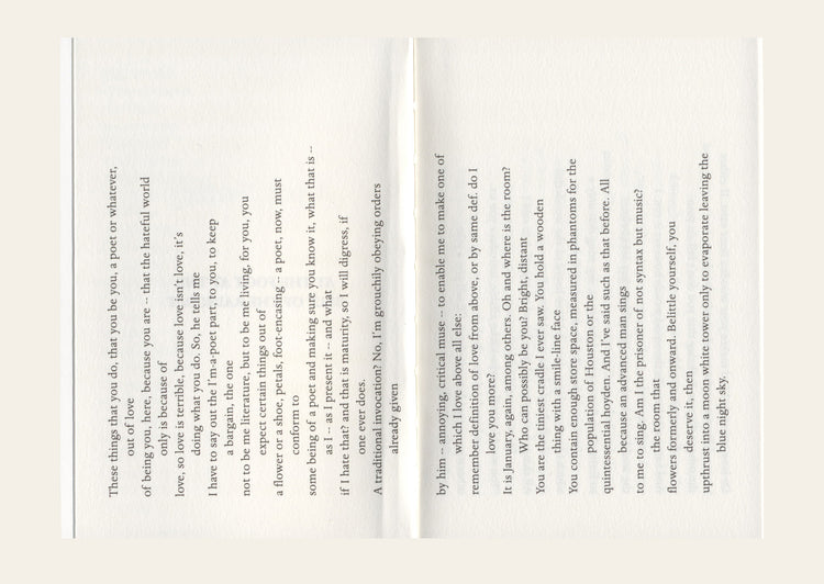 At the Foot At the Belt of the Raincoat - Alice Notley