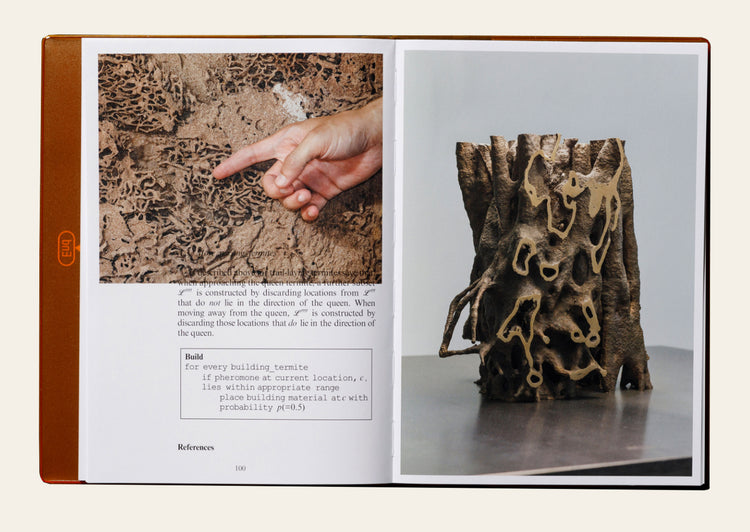 Termite Economies - Nicholas Mangan