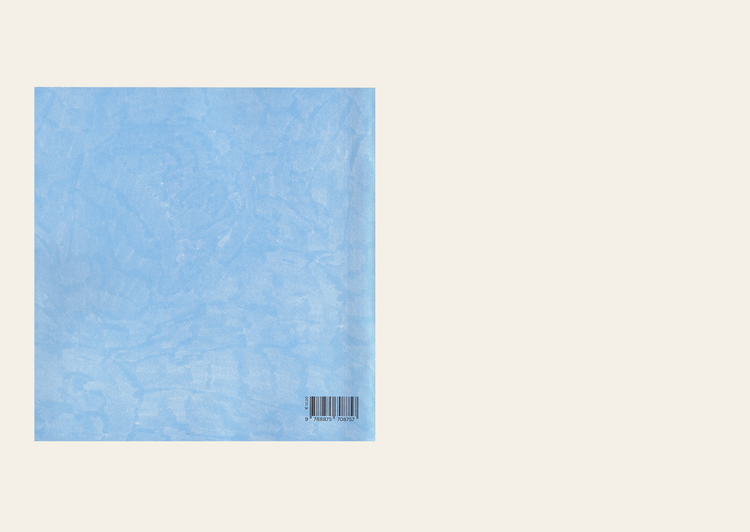 La Passeggiata d’Inverno The Winter Promenade - Andrea Antinori