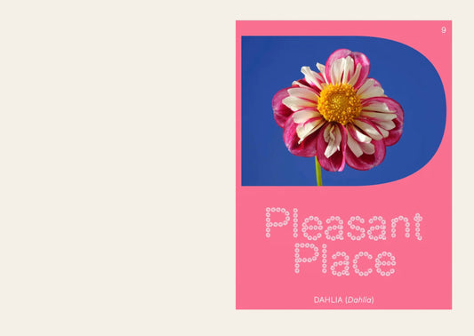 Pleasant Place Issue 9: Dahlia