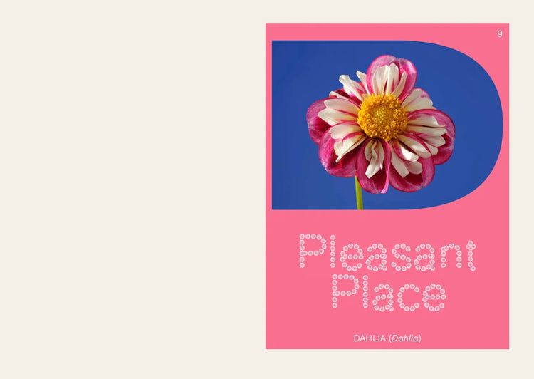 Pleasant Place Issue 9: Dahlia