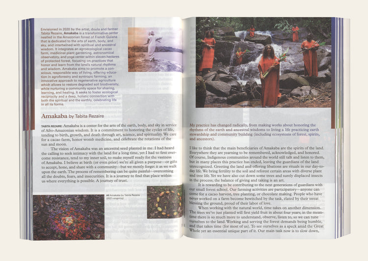 Visible: Art as Policies for Care. Socially Engaged Art (2010–Ongoing)