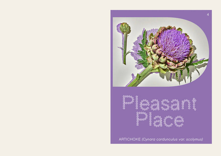 Pleasant Place 4: Artichoke