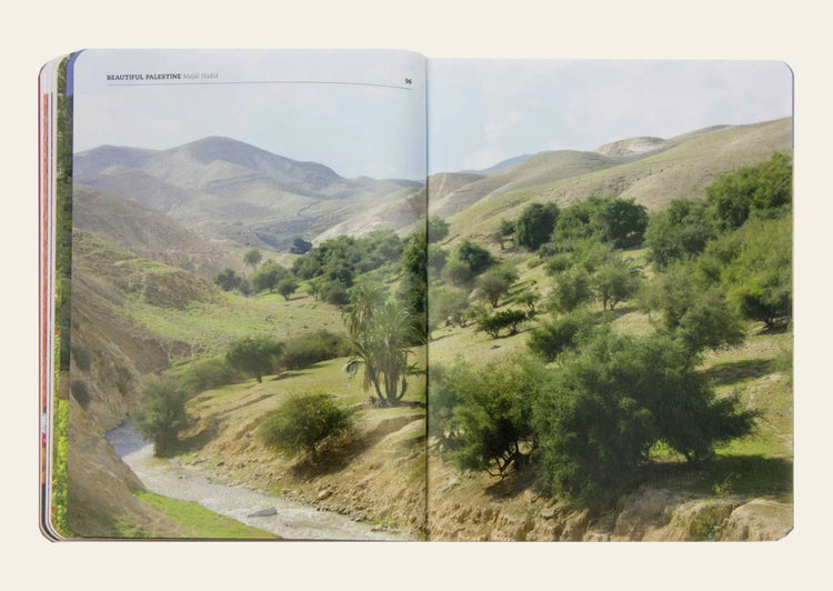 Subjective Atlas Of Palestine