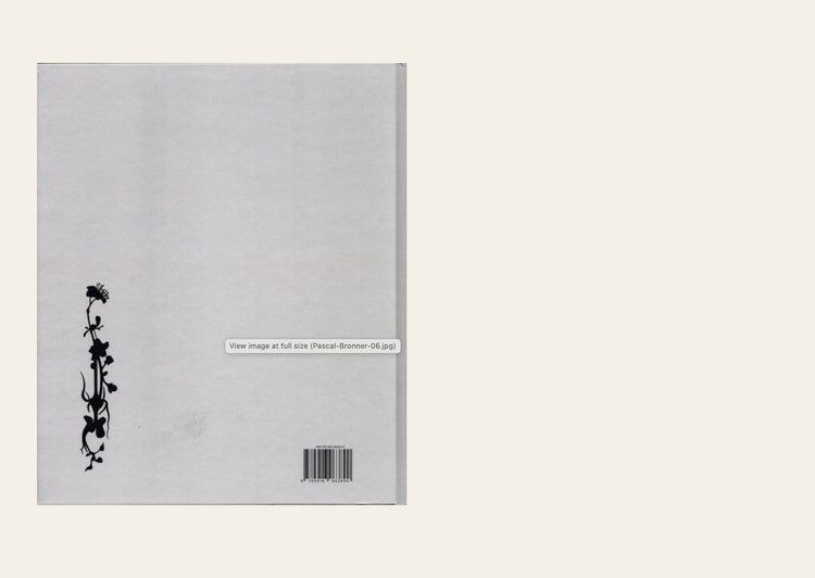 Pascal Bronner - Into the Droame