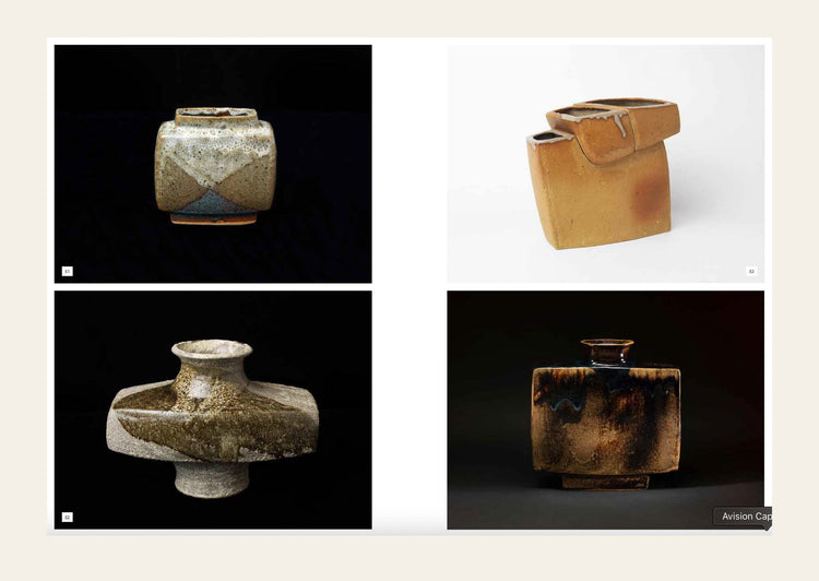 Pierre Culot: 1928-2011 - Anne Bony and Tyas Matthew