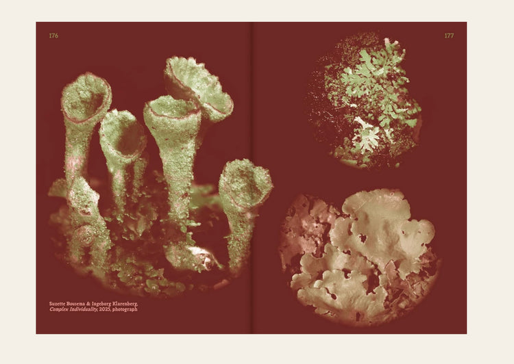 Queer Flora, Fauna, and Funga - Frances Cannon ed.