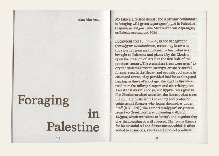 On Foraging in Palestine, Japan & Maastricht - Alaa Abu Asad and Asako Iwama. Yen-Ting Kuan (editor)