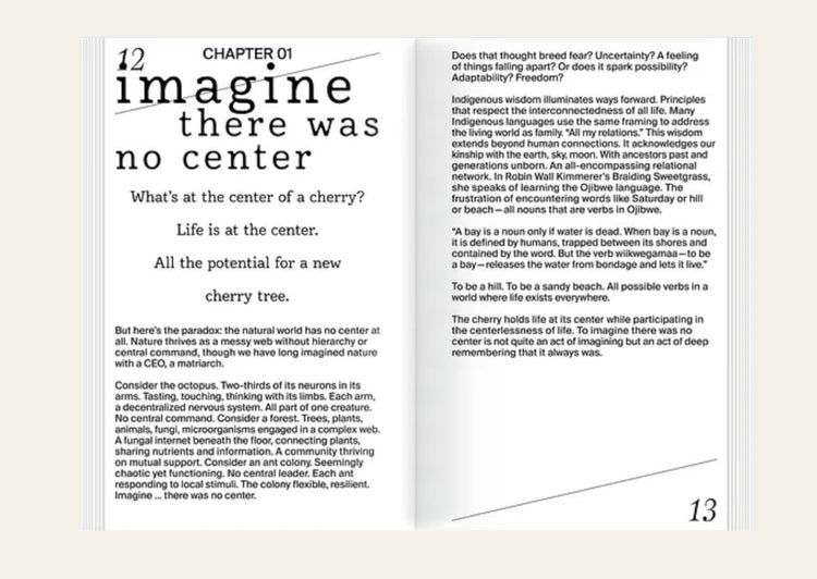 Imagine Embracing Chaos and Possibility in a Planetary Emergency - Laura François, Viola Dessin, Lars Harmsen, Natalie Seisser, (Eds)