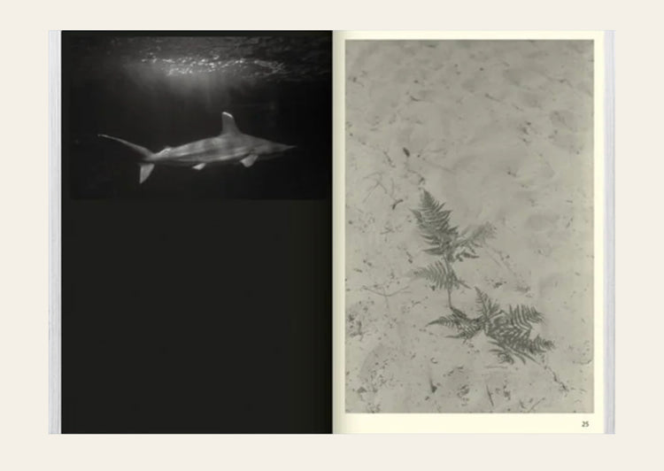 Atlantis - Oriane Thomasson
