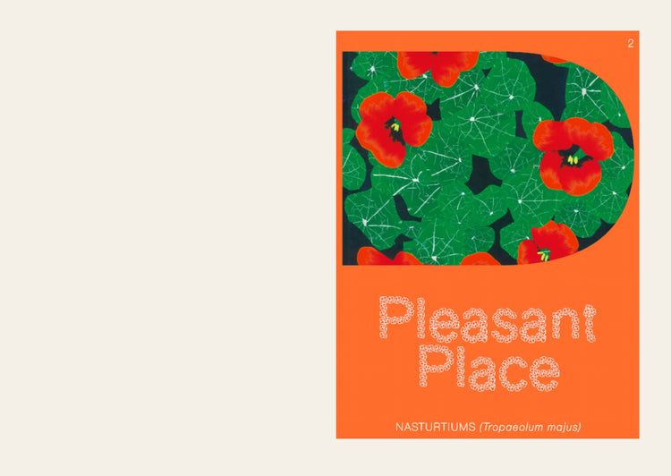 Pleasant Place 2: Nasturtiums