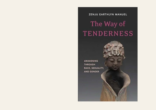 Way of Tenderness: Awakening Through Race, Sexuality, and Gender - Zenju Earthlyn Manuel