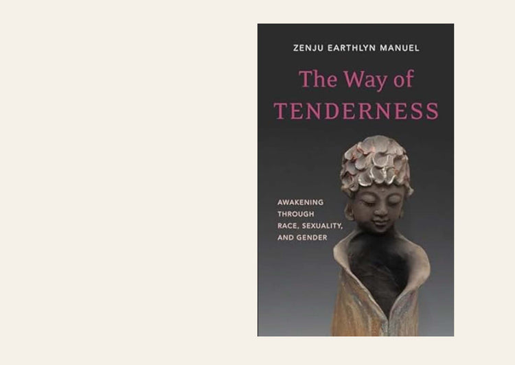 Way of Tenderness: Awakening Through Race, Sexuality, and Gender - Zenju Earthlyn Manuel