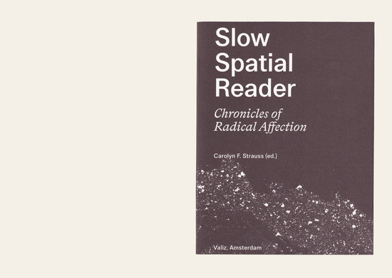 Slow Spatial Reader: Chronicles Of Radical Affection - Carolyn F. Strauss Ed