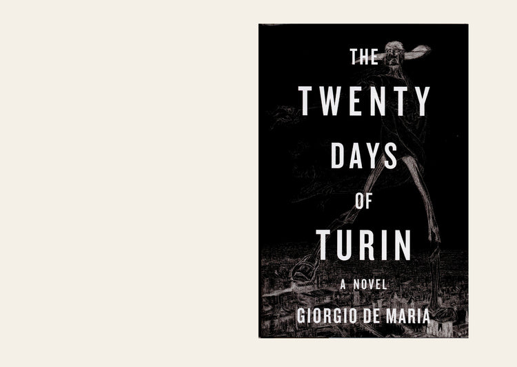The Twenty Days of Turin A Novel - Giorgio De Maria