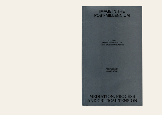 Image in the Post-Millenium: Mediation, process and critical tension